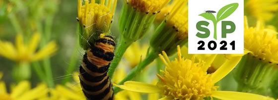 Symposium on Insect-Plant Interactions (SIP), 26-30 July 2020, Leiden, The Netherlands.